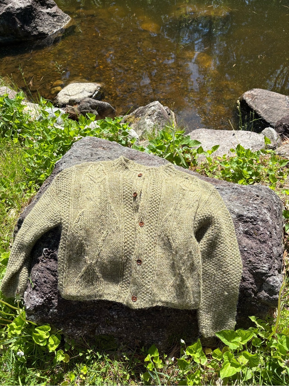 Hand knit by me Fish Cardigan
